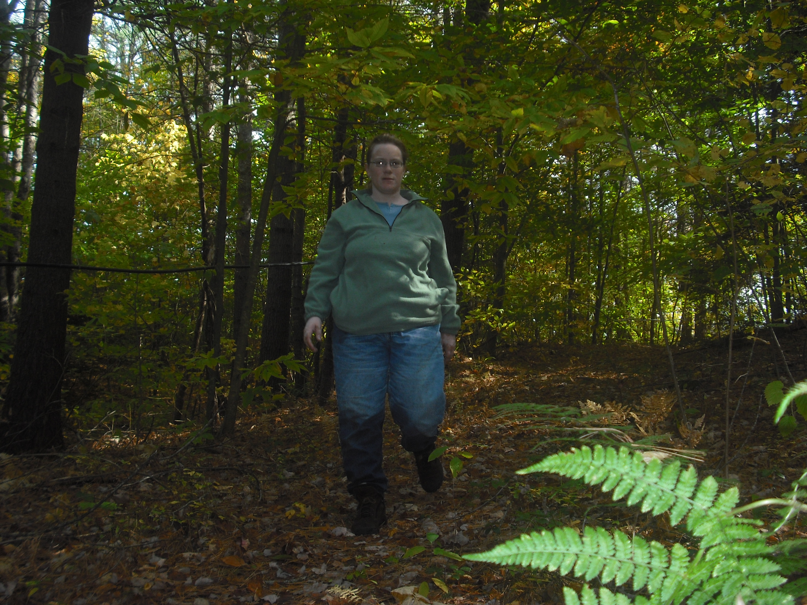 Cedar walking in the woods