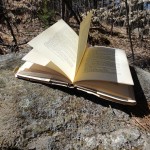book in the woods