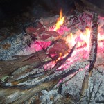 Campfire cooking