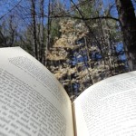 Book in the Woods