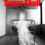 Sugar Skull story