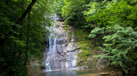 Distress, Disruption, and the Artist