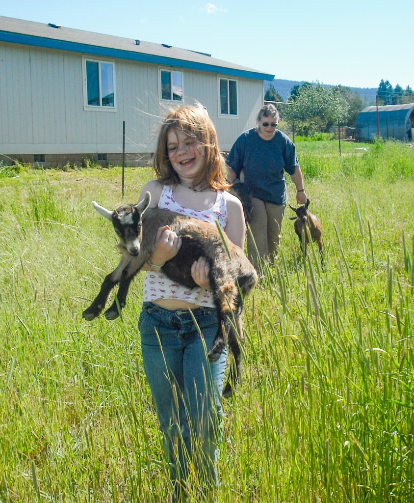 Goats and Kids