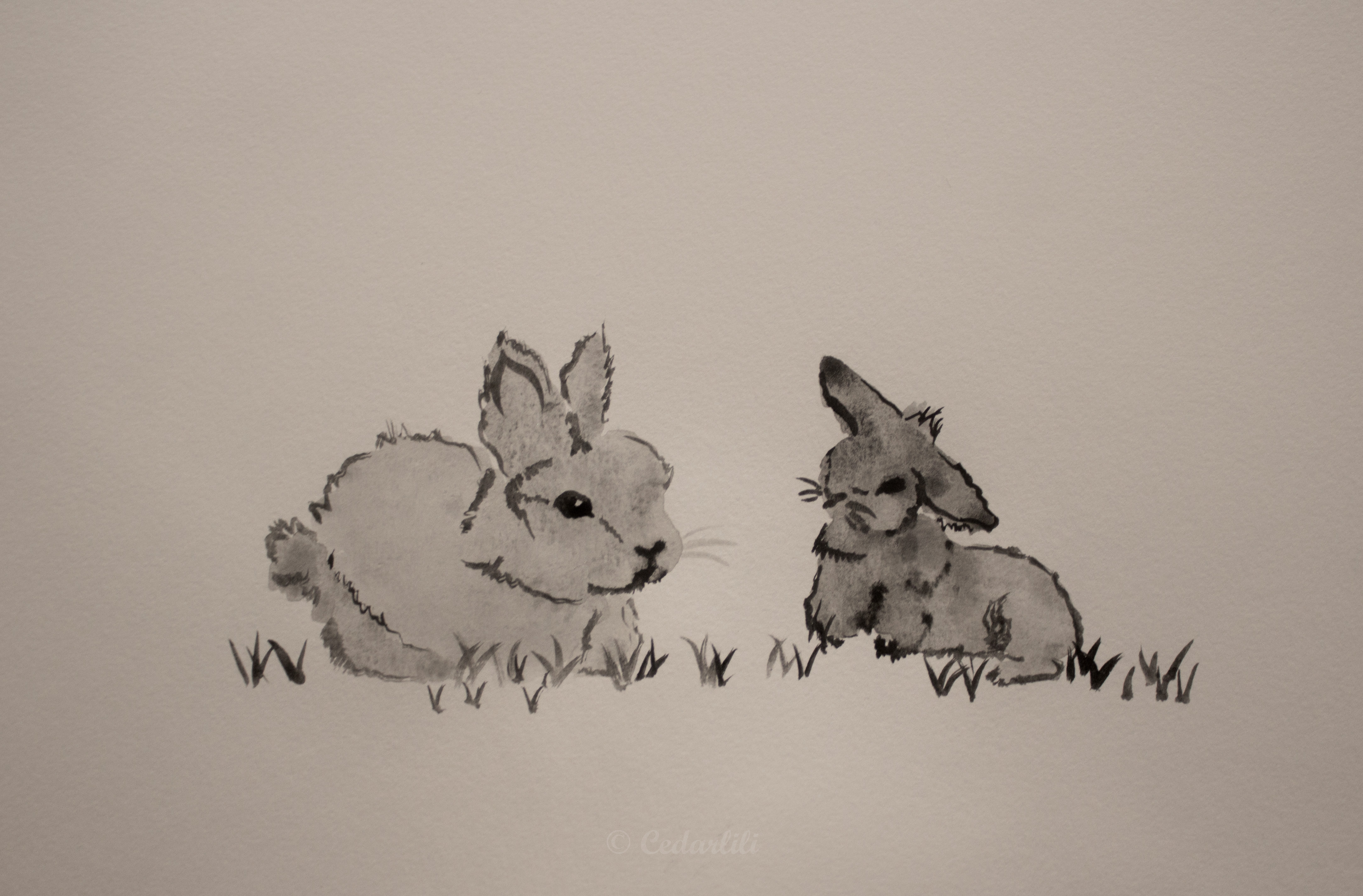 fluffy bunny painting