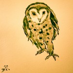 Sumie ink barn owl