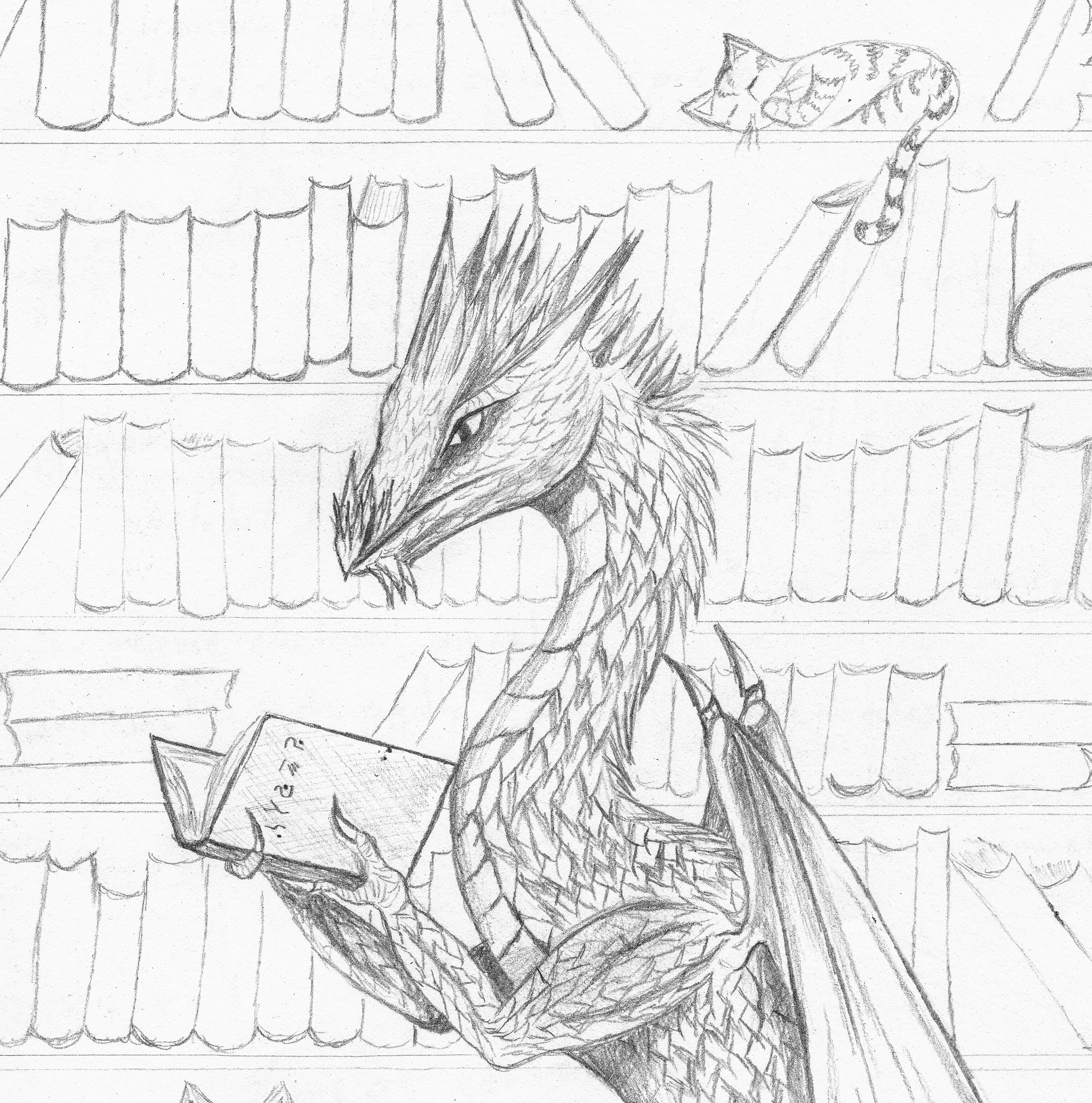 The Reader Dragon crop-1