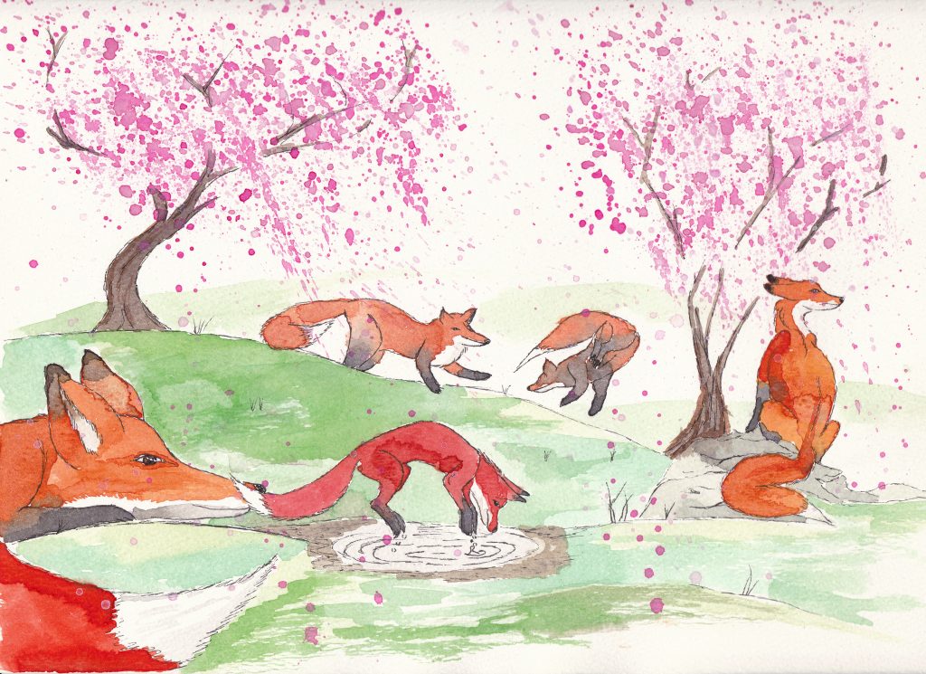 Foxes in spring-1