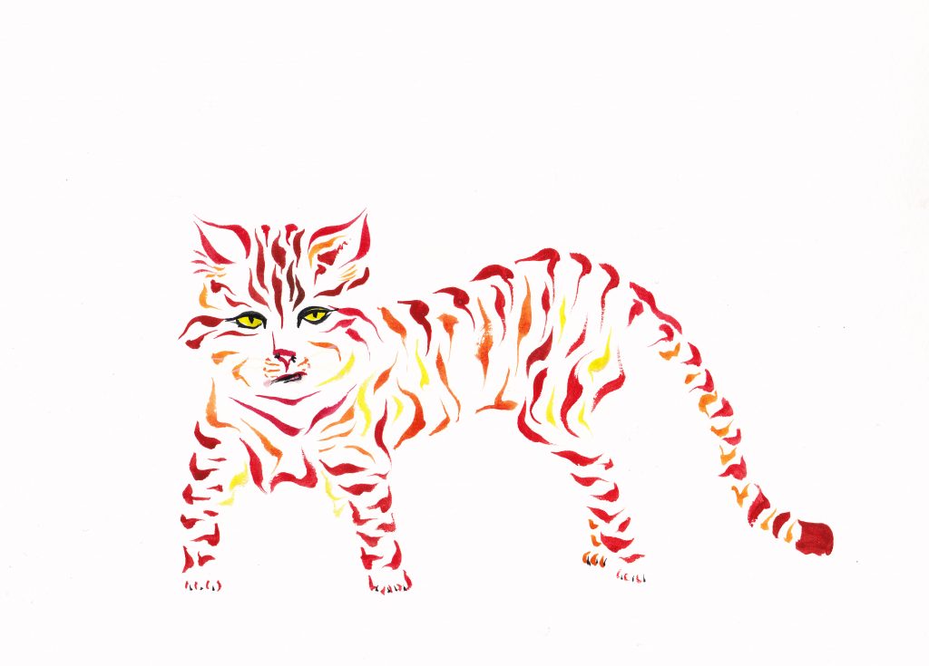 Lava Cat