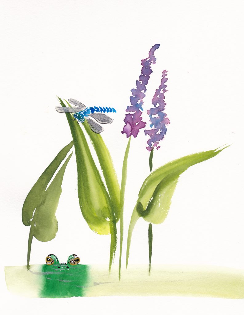 Pickerelweed, watercolor in Chinese Brush style. On 7x10 paper