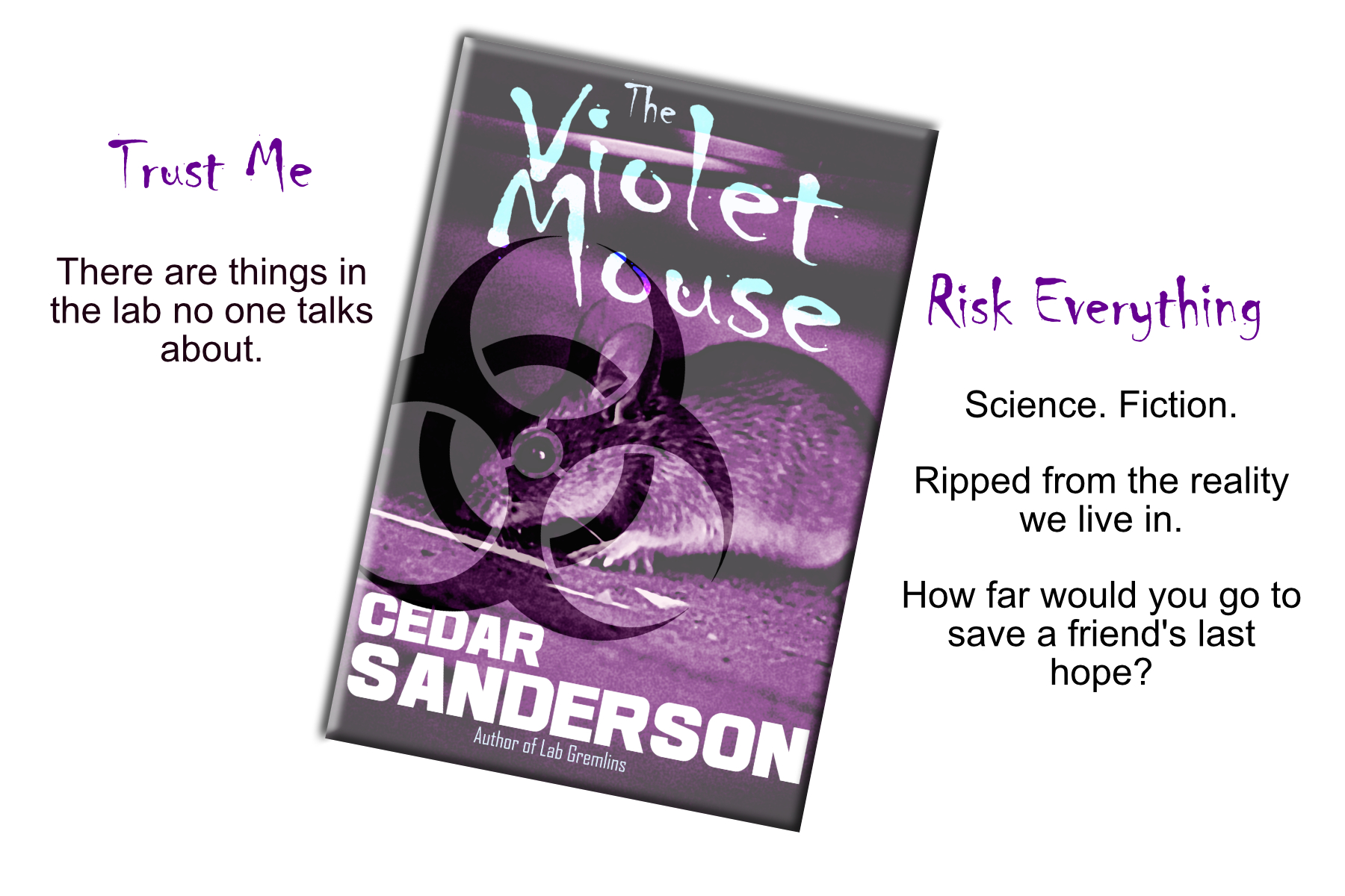 Cover Reveal! The Violet Mouse