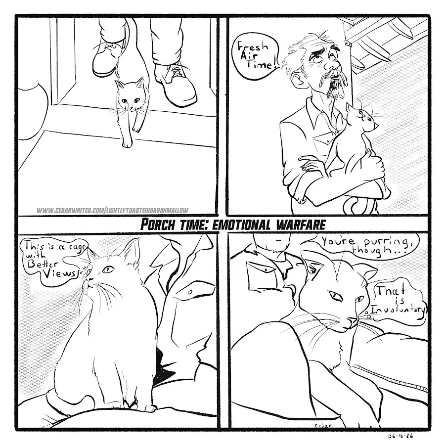 Compromises do not sit well with cats. Compromises do not sit well with cats.