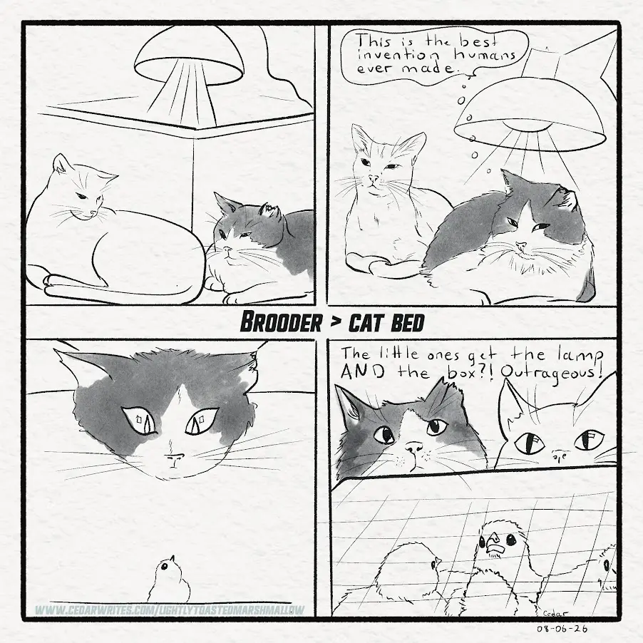 Heat Lamp Thieves Heat Lamp Thieves