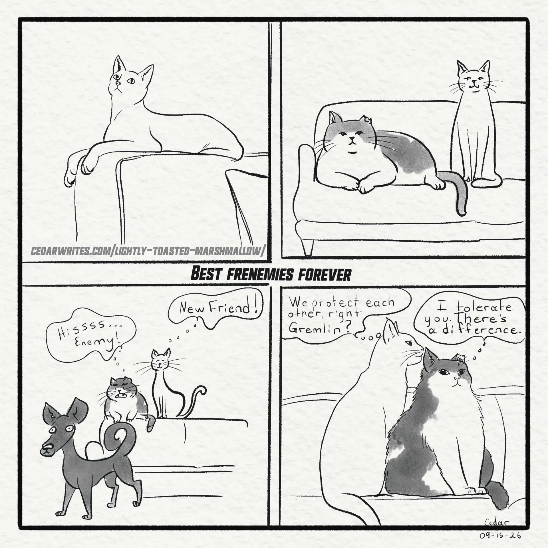 What is a poor doggie to do? What is a poor doggie to do?
