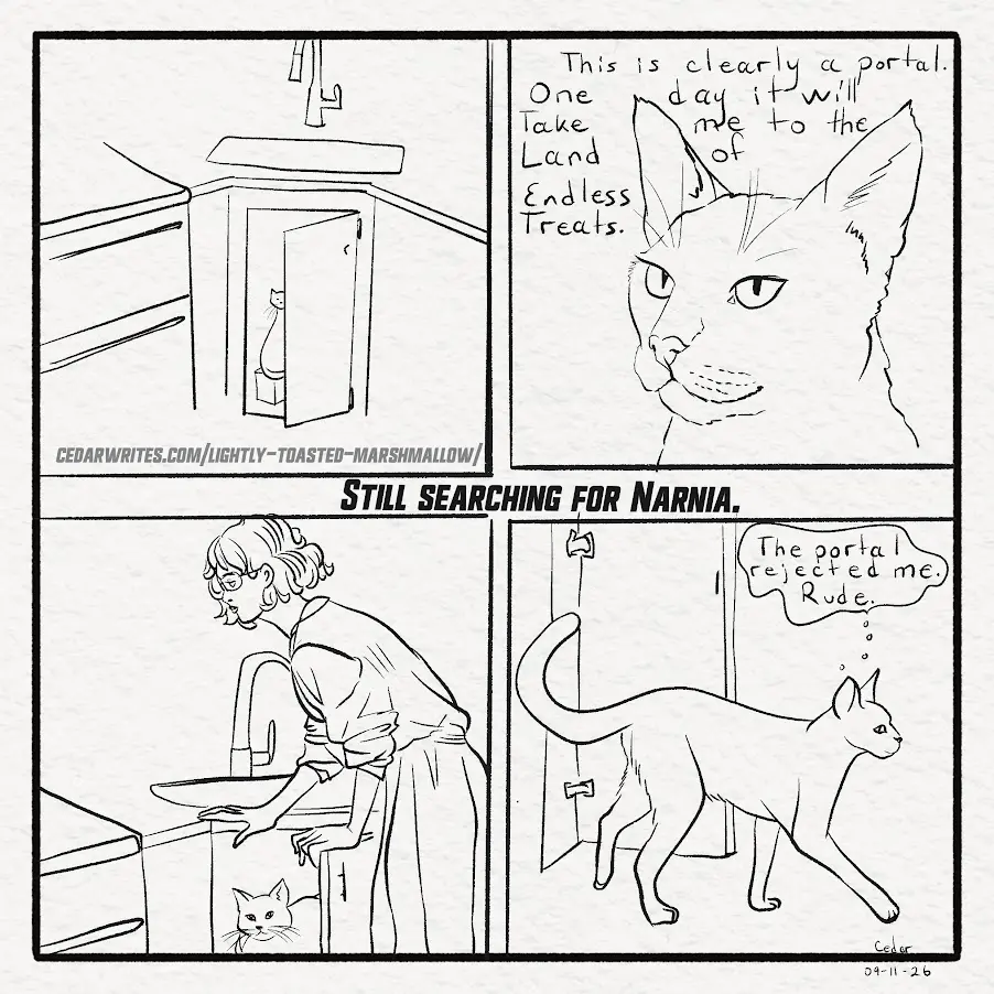 How do cats handle rejection?